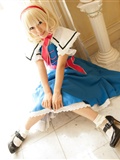 [Cosplay] New Touhou Project Cosplay  Hottest Alice Margatroid ever(17)